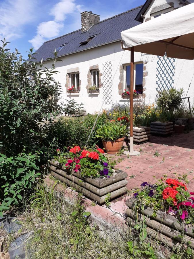 Private Farmhouse For Six In The Countryside Saint-Pierre-sur-Orthe Exterior photo